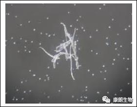 1576221100462618.jpg 图片