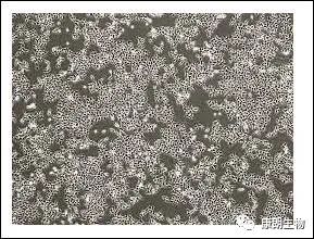 1576221112547984.jpg 图片