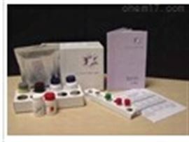 人神经肽S（NPS）ELISA试剂盒