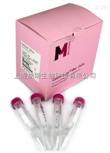 柱式软体动物DNAOUT
