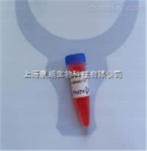 大提柱式DNA清除剂